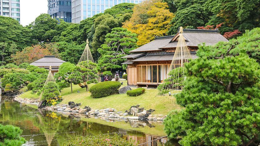 浜離宮恩賜庭園 ― 高層ビルに囲まれた東京の美しい日本庭園