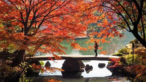 皇居東御苑 ― 江戸城の歴史が息づく庭園